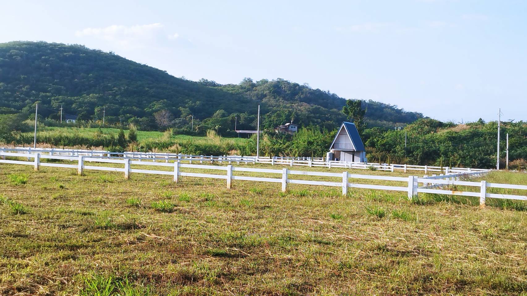 ที่ดินสวยวิวเขา หนองสาหร่าย