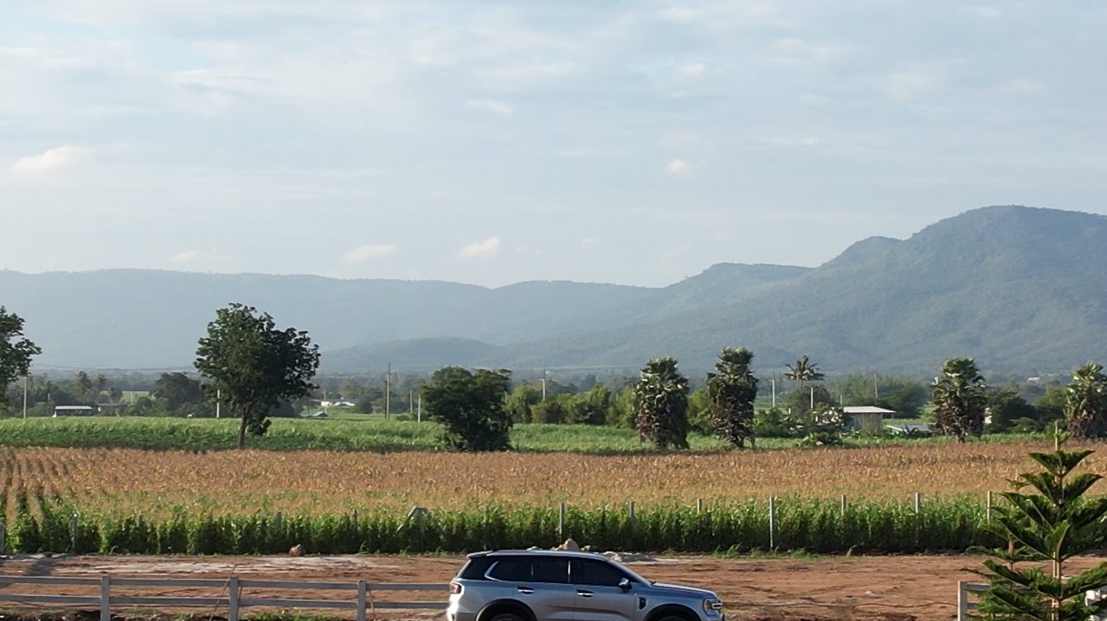 ที่ดินวิวเขาพาโนราม่า เริ่ม 200 ตร.ว. ทำเลคลองม่วง ปากช่อง